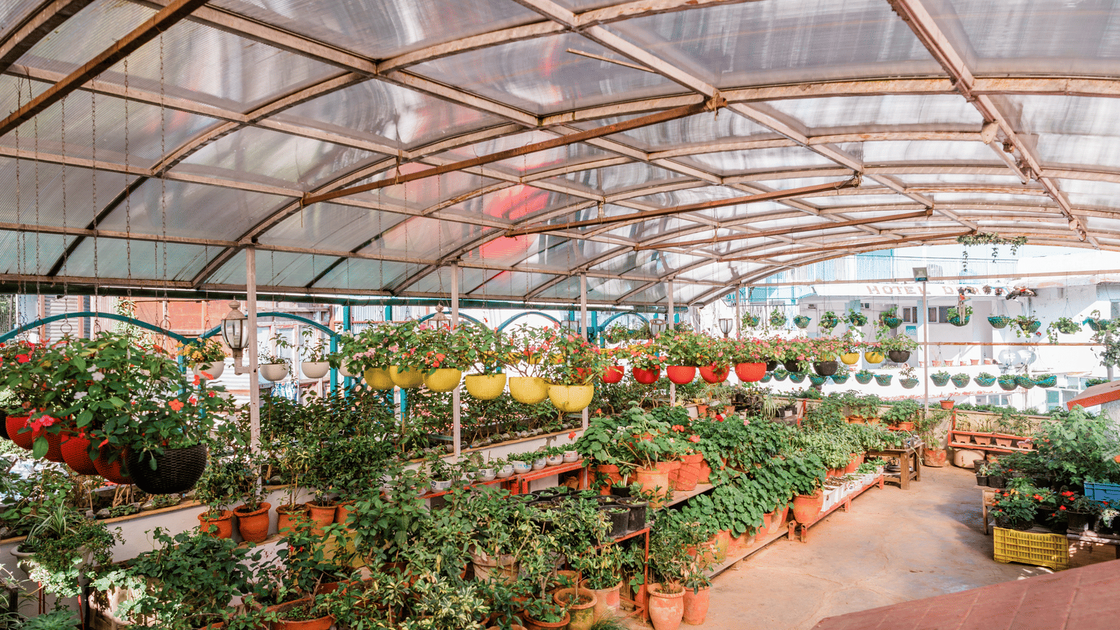 Terrace garden